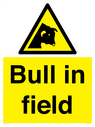 bull-in-field~